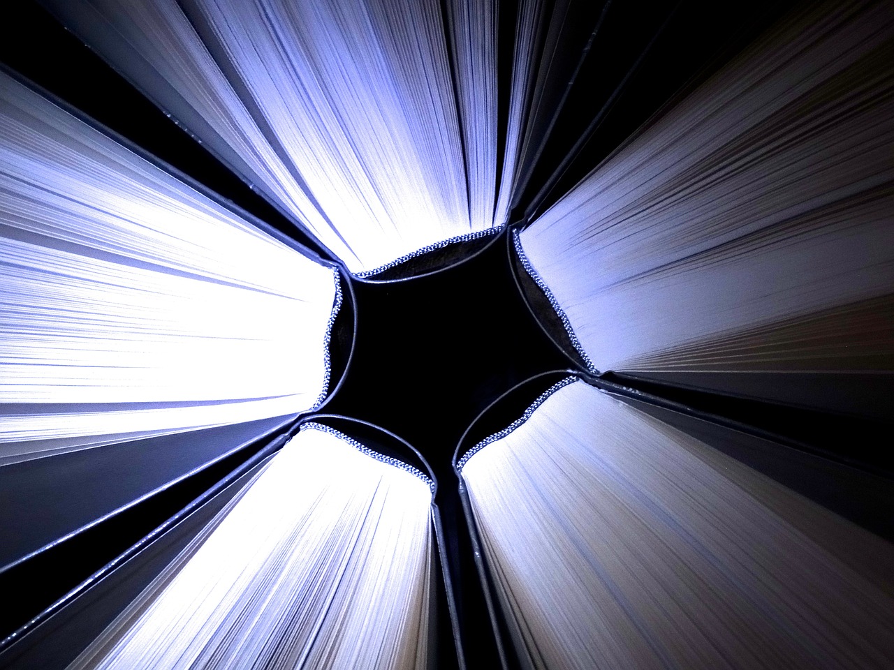 Human Behavior in the Light of Safety: A Closer Look